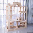 멍이냥이하우스 이미지