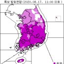 8월 17일(월요일) 06:00 현재 대한민국 날씨 및 특보발효 현황 (울릉도, 독도 포함) 이미지