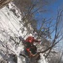 무릉도원면-50 이미지