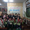 나도 플로리스트 Daum카페