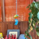 원브런치카페 이미지