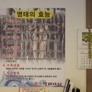 명태나라 이미지