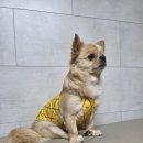 기쁨이네 민박 이미지