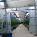 꽃골농장 이미지