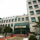 김초생초