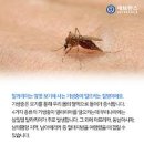 백화낚시터 이미지