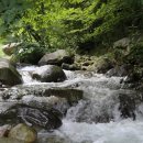 한재골(입구) 이미지