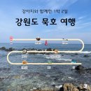 더블S디테일링 동해점 | 묵호 애견동반 여행, 포토스팟부터 파닭김밥까지 1박2일코스 후기