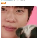 셀럽퍼피 이미지