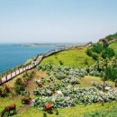 신화산업 | 제주도의 역사와 유래 – 신화와 자연이 공존하는 섬의 이야기