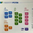 초록빛약국 | [큰맘먹고 라섹수술] 강남 드림성모안과 라섹수술 당일 후기 ‘초록빛만 보세요’