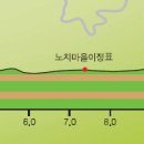 신장로조경