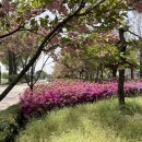 미루모텔 이미지