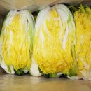 이명희농장 이미지