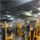 민트고래 이미지