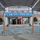 늘봄꽃조경