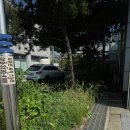 일프로주유소