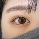 미사한방병원 | 하남 미사 속눈썹펌 바이린뷰티 속눈썹연장 강력추천