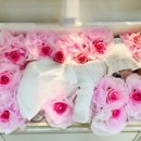 아이들랜드 이미지