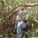 곰아저씨민박 이미지