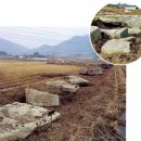 영광 대마 성산리 지석묘군 이미지