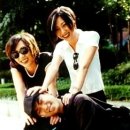 베이시스 이미지