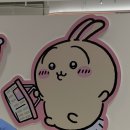 용산-현장-12 | 용산 치이카와샵 현장 웨이팅 후기ㅣ신상 입고 예정