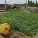 계화중학교 이미지