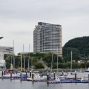 미락전복 | 가족여행으로 통영간 후기 1박2일 ; 통영스탠포드호텔...활어시장 연필등대 미락식당 대풍관 거북선꿀빵...