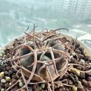 광림농장 이미지