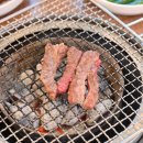 엉게나무 이미지