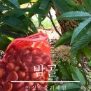 지문리입구 이미지