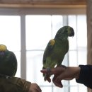 주주 농장 이미지