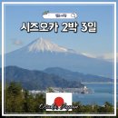 11545-01-24-20 | 시즈오카 2박 3일 여행 일정 코스 날씨 숙소 추천 후지산 투어 후기