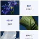 밀도 씨케이 | 캘빈클라인 신상 향수 후기! 씨케이 원 CK ONE 나이트에센스 향 미쳤다