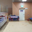 성산스포츠센터 빙상장