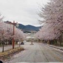 충남서산식당 이미지