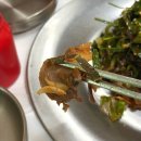 공주 맛집 매향 | 편육무침과 막국수 조합 추천 (주말 오픈런 후기)