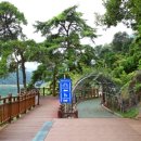 낭만느림보 이미지