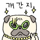 라인댄스 오후반 이미지