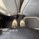 신곡약수터 | 24-04-04 관악산에서 길 잃었다가 겨우 내려온 후기