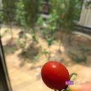 [포항 양덕 카페] 강군 커피 오리지널스, 우연히 지나치다 마주친_