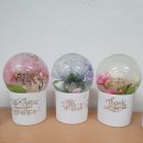 강원특별자치도 장애인복지회 이미지