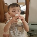 두빈목장 | 두빈목장 어린이 유산균 플레인요거트