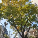 경희궁4길 이미지