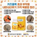 (주)동양화학 | 키즈홀쭉 효과 부작용 내돈내산후기 가격 복용법 까