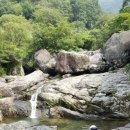 원동자연 휴양림 이미지