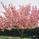 운신초등학교 이미지