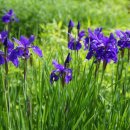 인제행정사사무소 이미지