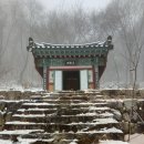수도사 노사나불괘불탱 | 78.&#39;수도사 修道寺&#39; 영천 치산관광지에 위치한 팔공산 천년사찰